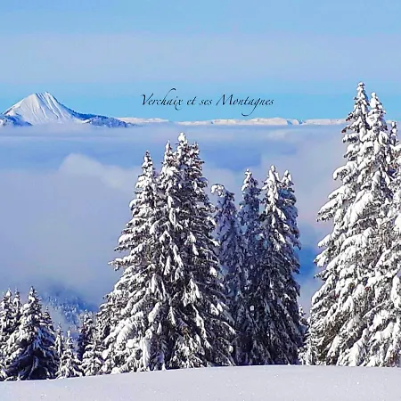 Chalet Plein Sud 1000 Verchaix