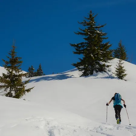 Chalet Chalet Plein Sud 1000 Verchaix