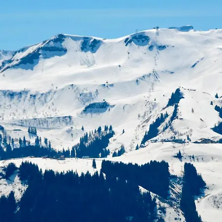 Chalet Plein Sud 1000 *
